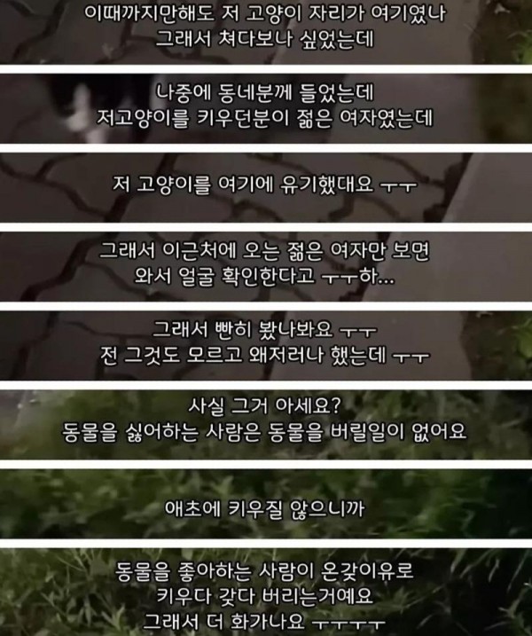 스포츠중계,무료스포츠중계,해외스포츠중계